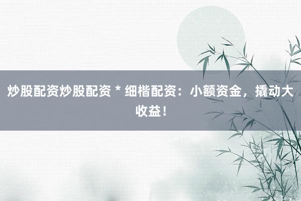 炒股配资炒股配资 * 细楷配资：小额资金，撬动大收益！