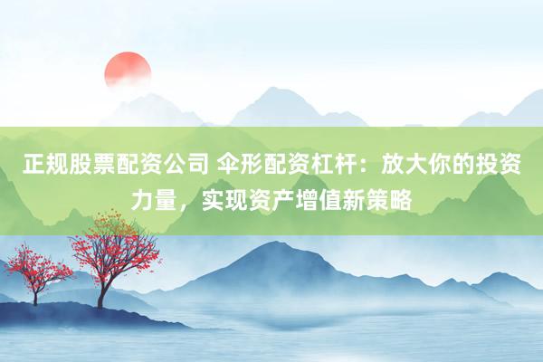 正规股票配资公司 伞形配资杠杆：放大你的投资力量，实现资产增值新策略