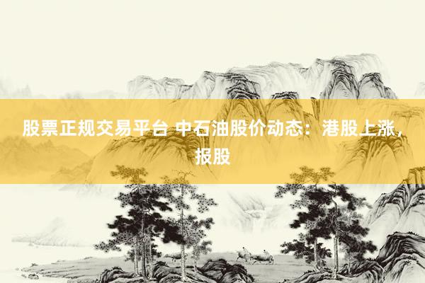 股票正规交易平台 中石油股价动态：港股上涨，报股