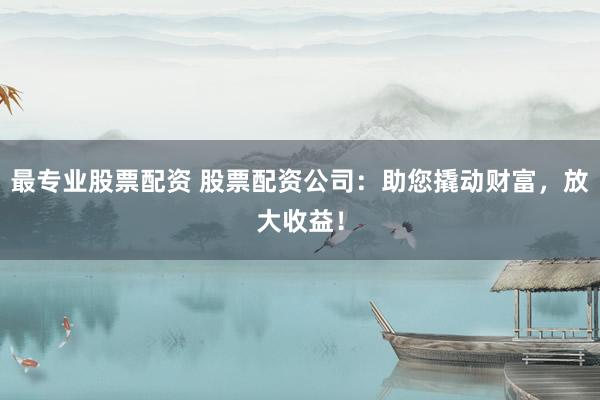 最专业股票配资 股票配资公司：助您撬动财富，放大收益！