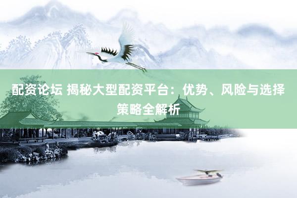 配资论坛 揭秘大型配资平台：优势、风险与选择策略全解析