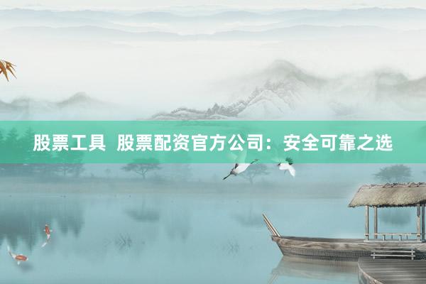 股票工具  股票配资官方公司：安全可靠之选