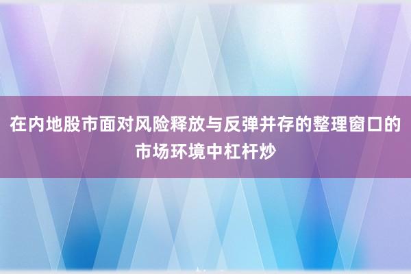 在内地股市面对风险释放与反弹并存的整理窗口的市场环境中杠杆炒