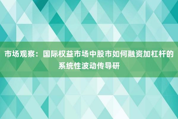 市场观察：国际权益市场中股市如何融资加杠杆的系统性波动传导研