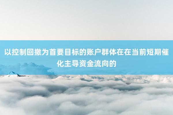 以控制回撤为首要目标的账户群体在在当前短期催化主导资金流向的